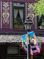 Click to see YP5150677.JPG