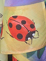 Click to see YP5150710.JPG