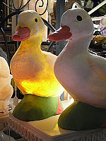 Click to see YP5150730.JPG