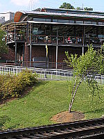 Click to see YP7180041.JPG