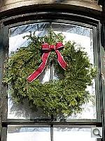 Click to see Y100_0216.JPG