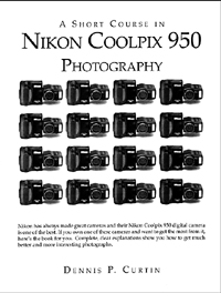 nikon_small.jpg (41075 bytes)