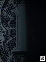 Click to see C9XMACFL.JPG