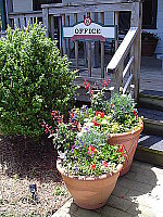 Click to see YDSC00393.JPG