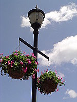 Click to see YDSC00405.JPG