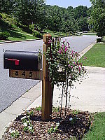 Click to see YDSC00421.JPG