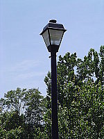 Click to see YDSC00434.JPG