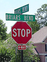 Click to see YDSC00436.JPG