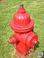 Click to see YDSCN0151.JPG