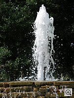 Click to see YDSCN0549.JPG