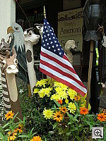 Click to see YDSCN0560.JPG