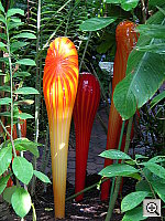 Click to see YDSCN0591.JPG