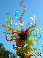 Click to see YDSCN0606.JPG