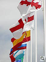 Click to see YDSCN0055.JPG