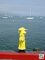 Click to see YDSCN0058.JPG