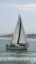 Click to see YDSCN0064.JPG