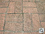 Click to see YDSCN0159.JPG
