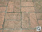 Click to see YDSCN0160.JPG