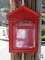Click to see YDSCN0274.JPG