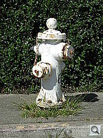 Click to see YDSCN0275.JPG