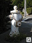 Click to see YDSCN0016.JPG