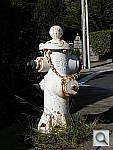 Click to see YDSCN0035.JPG