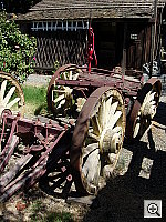 Click to see YDSCN0503.JPG