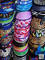 Click to see YDSCN0519.JPG