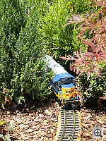 Click to see yDSCN0456.JPG