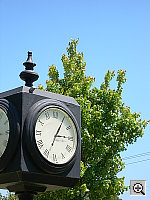 Click to see yDSCN0479.JPG