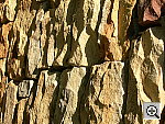 Click to see YDSCN0638.JPG