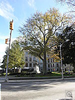 Click to see YDSCN1112.JPG