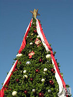 Click to see YDSCN1159.JPG