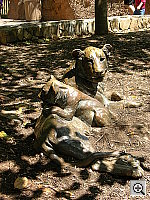 Click to see YDSCN0904.JPG