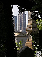 Click to see YDSCN0931.JPG