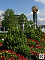 Click to see YDSCN0959.JPG