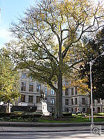 Click to see YDSCN1496.JPG