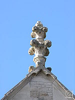 Click to see YDSCN1506.JPG