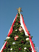 Click to see YDSCN1602.JPG