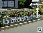 Click to see YDSCN0061.JPG