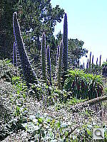 Click to see YDSCN0249.JPG