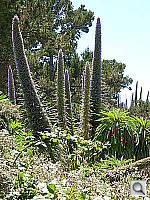 Click to see YDSCN0208.JPG