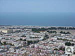 Click to see YDSCN0210.JPG