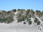 Click to see YDSCN0549.JPG