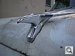 Click to see YDSCN0300.JPG