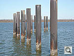 Click to see YDSCN0372.jpg