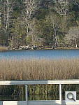 Click to see YDSCN0395.jpg