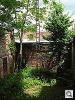 Click to see YDSCN0015.JPG