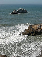 Click to see YDSCN3559.JPG