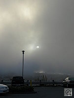 Click to see YDSCN3578.JPG